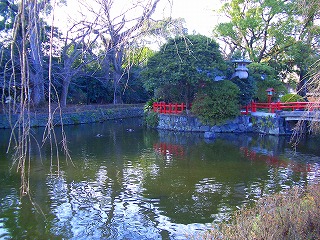 三島大社の池